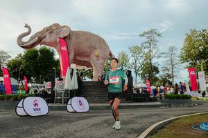 BIB: 
                            <button type="button" onclick="openModal(26529144)" class="btn btn-primary btn-sm float-right btn-popup" data-toggle="modal" data-target=".modal-high-quality">
                        <i class="fas fa-shopping-cart"></i> Add to Cart
                    </button>
                                            <button type="button" onclick="isThisMe(26529144, true)" class="btn btn-success btn-sm float-right btn-popup btn-isme hidden" data-toggle="tooltip" data-placement="bottom" title="นี่คือรูปของคุณใช่ไหม คลิกที่นี่เพื่อเอาเข้าอัลบั้ม">
                        <i class="fas fa-plus"></i> Add to album
                    </button>
                    <button type="button" onclick="isThisMe(26529144, false)" class="btn btn-warning btn-sm float-right btn-popup btn-isnotme hidden">
                        <i class="fas fa-ban"></i> Remove from album
                    </button>